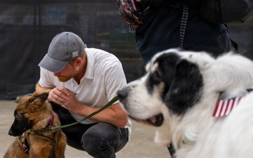Prince Harry visits Warrior Games 2026