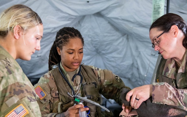 Operation Sentinel Justice Enhances Veterinary Medical Readiness at Camp Shelby