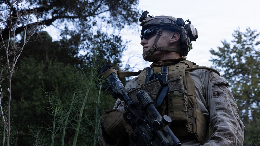 U.S. Marines with 1/7 survey and detect the Southern Border