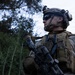 U.S. Marines with 1/7 survey and detect the Southern Border