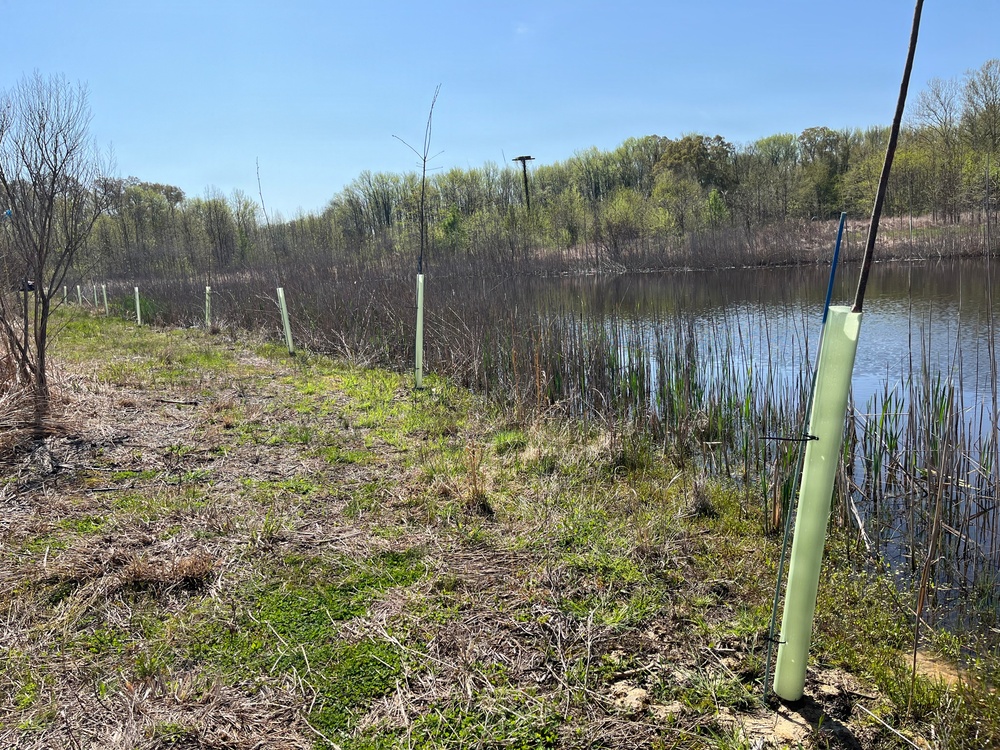 Tree Planting at APG