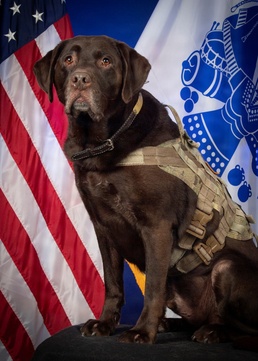 Serving Those who Serve: A Tribute to Truman