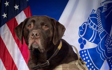 Serving Those who Serve: A Tribute to Truman