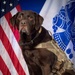 Serving Those who Serve: A Tribute to Truman