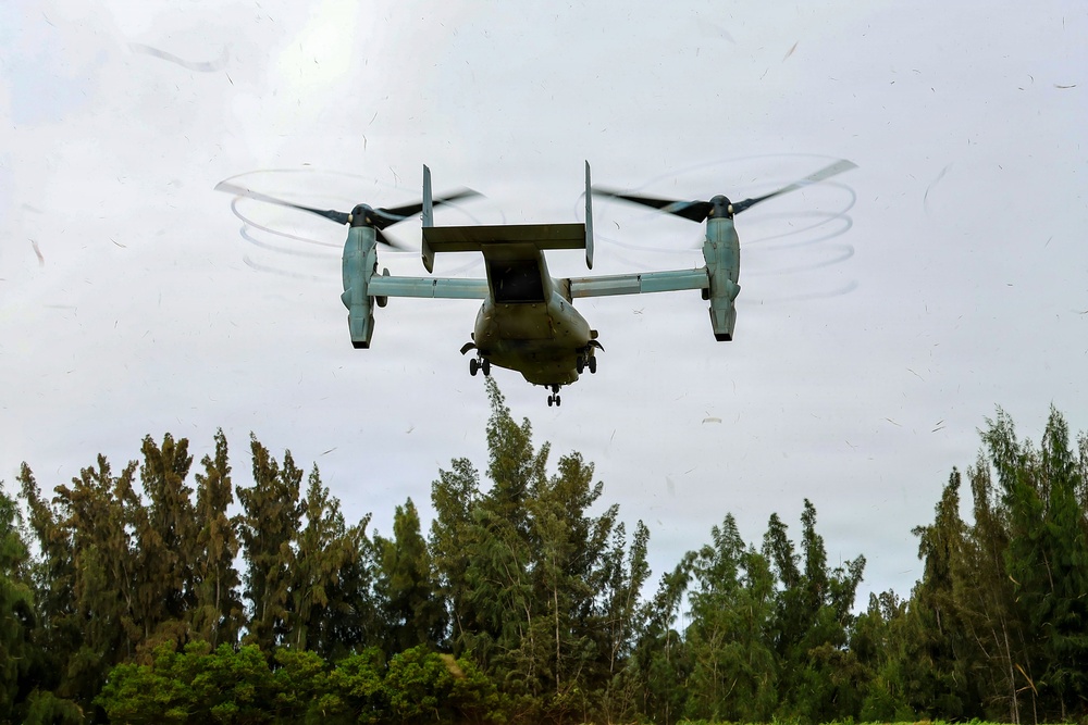 VMM-363 supports 25th Infantry Division during air assault training exercise