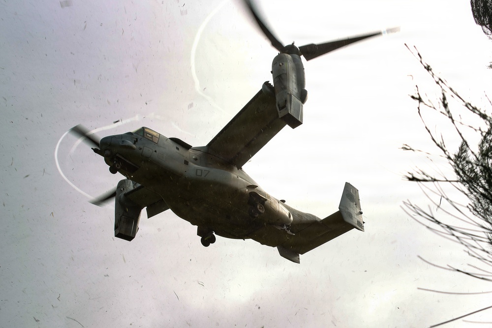 VMM-363 supports 25th Infantry Division during air assault training exercise