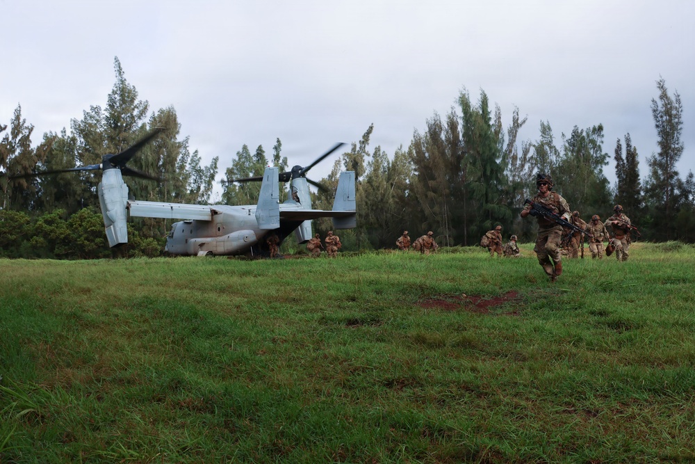 VMM-363 supports 25th Infantry Division during air assault training exercise
