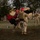 CLR-17 Marines, Sailors compete in pugil stick bouts CLR-17 Marines, Sailors compete in pugil stick bouts