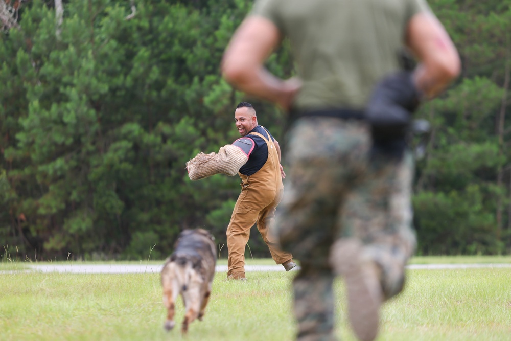 MCAS Beaufort PMO K-9 Explosive Detection and Bite Test