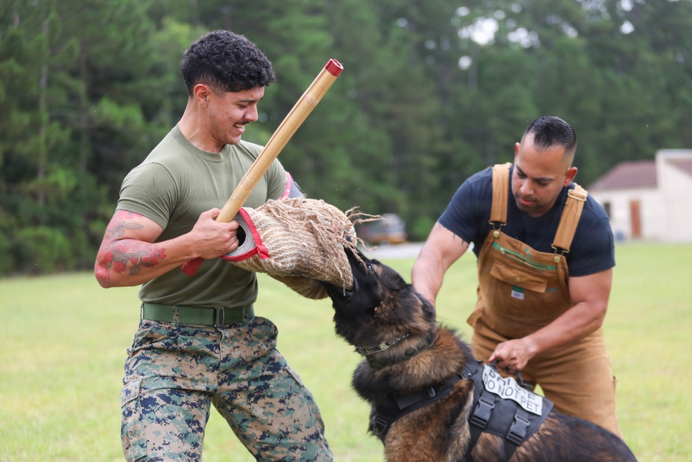 MCAS Beaufort PMO K-9 Explosive Detection and Bite Test