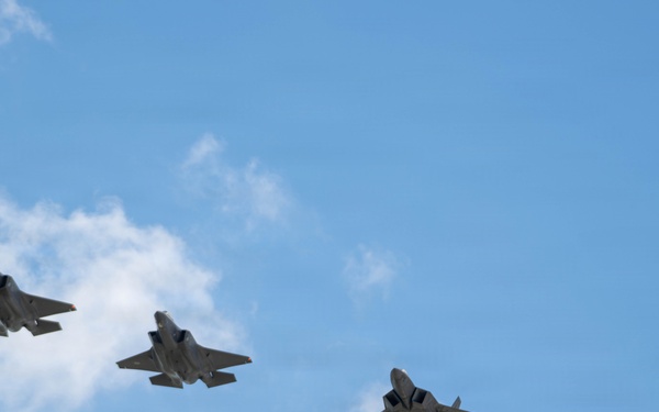 Virginia Air National Guard F-22 Raptors Train Alongside Finnish F-35s at Ebbing ANGB