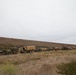 40th ID DTAC ends time at San Clemente Island, returns via LCACs