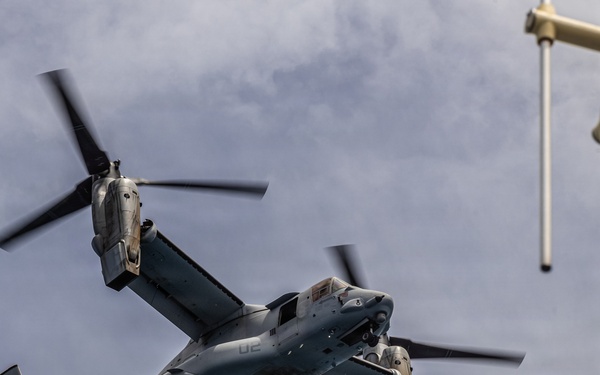 VMM-165 conducts Search and Rescue training