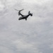 VMM-165 conducts search and rescue training