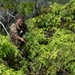 Vanguard Expeditionary Training 02-26