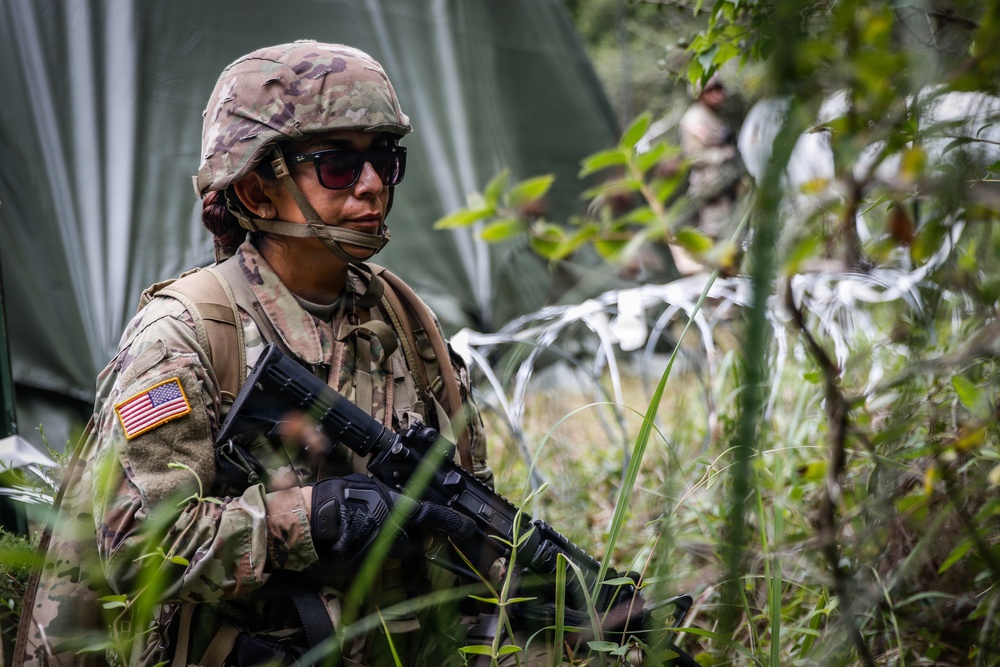Operation Sentinel Justice