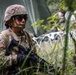 Operation Sentinel Justice