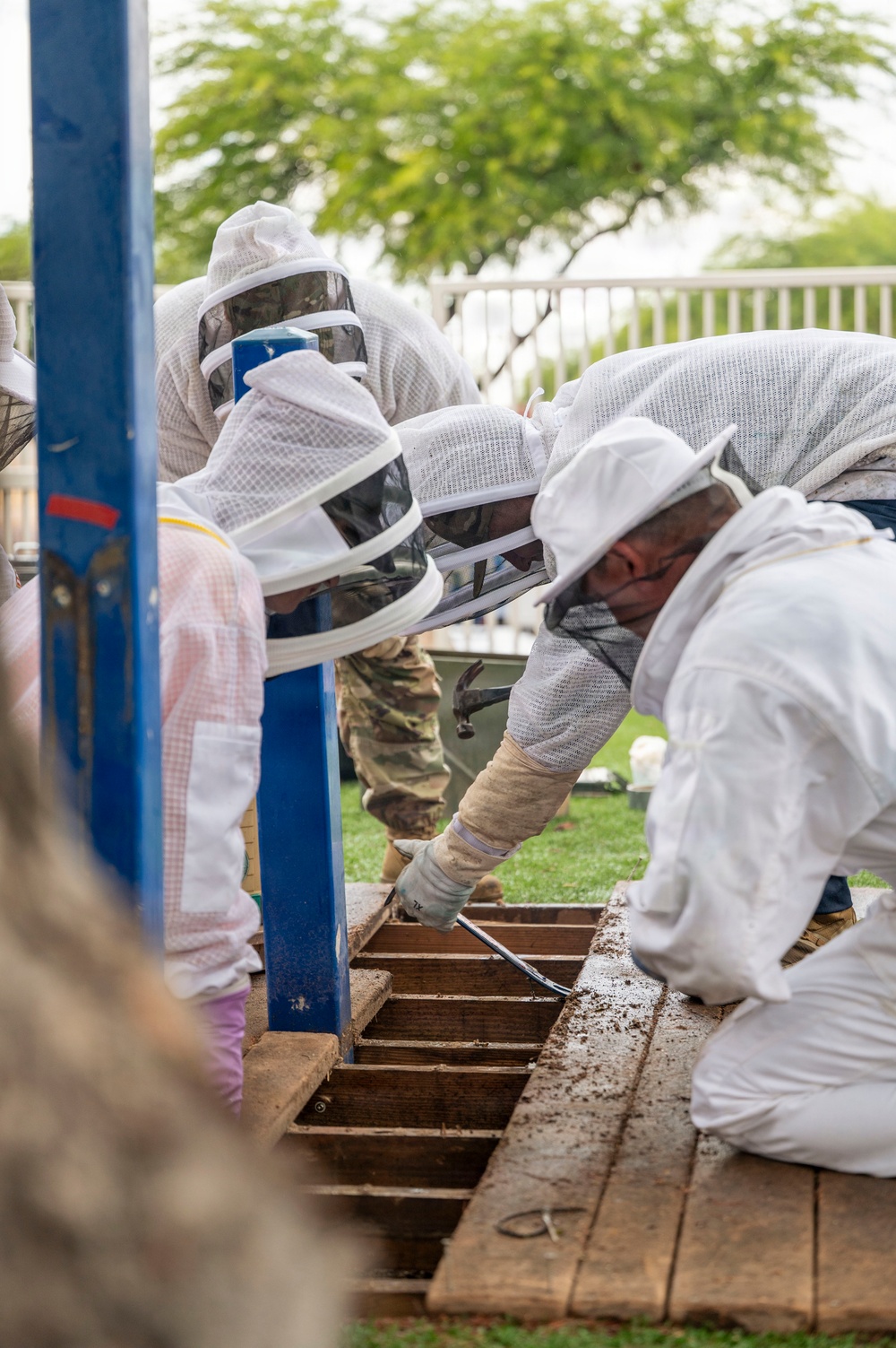 DM Airmen partner to safely relocate an Africanized bee colony