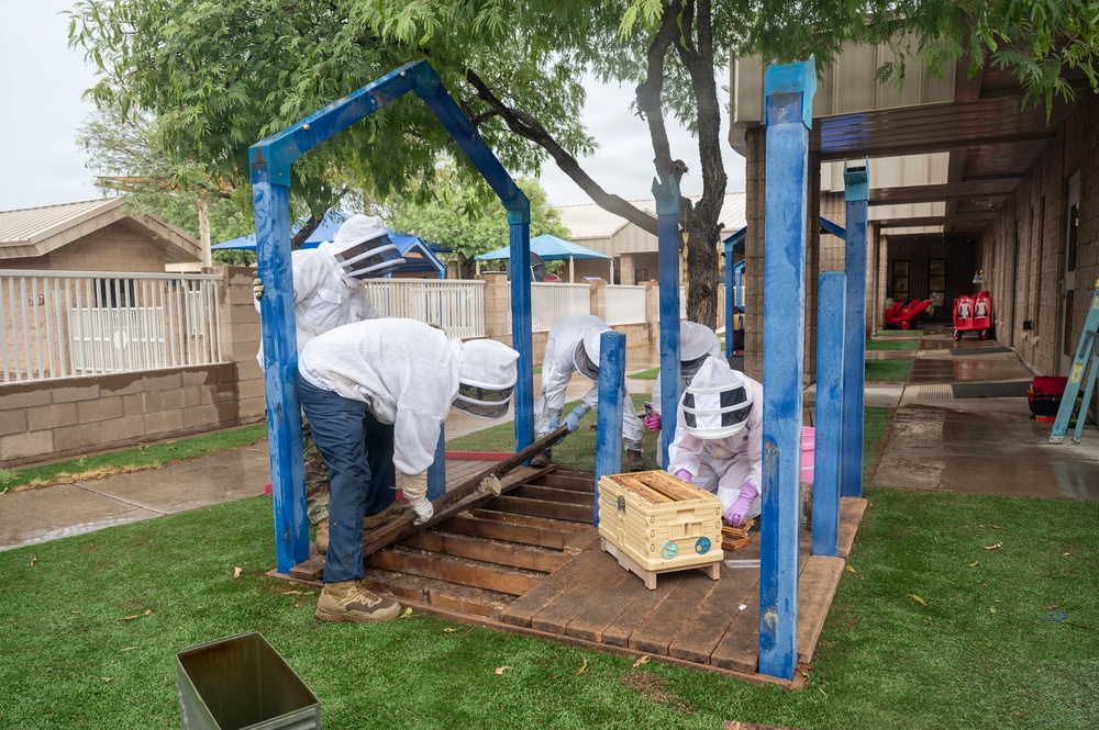 DM Airmen partner to safely relocate an Africanized bee colony