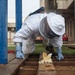 DM Airmen partner to safely relocate an Africanized bee colony