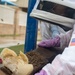 DM Airmen partner to safely relocate an Africanized bee colony