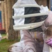 DM Airmen partner to safely relocate an Africanized bee colony