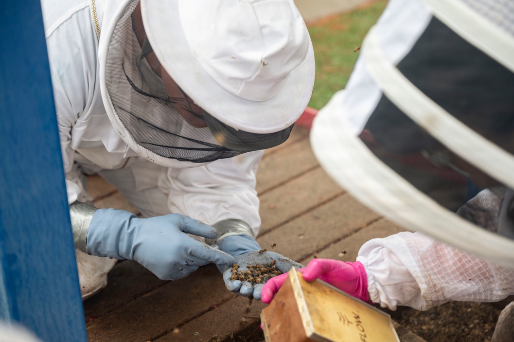 DM Airmen partner to safely relocate an Africanized bee colony