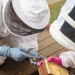 DM Airmen partner to safely relocate an Africanized bee colony