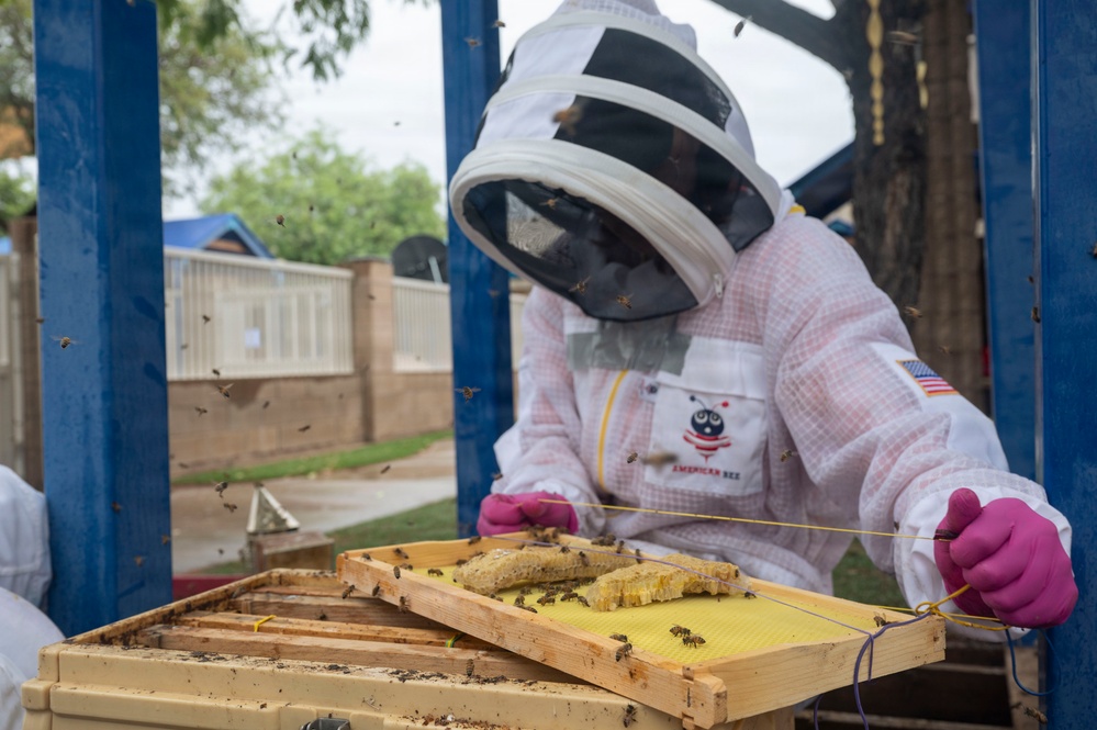 DM Airmen partner to safely relocate an Africanized bee colony