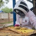 DM Airmen partner to safely relocate an Africanized bee colony