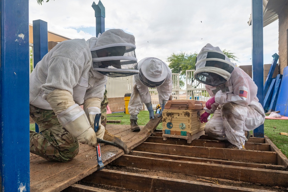 DM Airmen partner to safely relocate an Africanized bee colony
