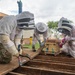 DM Airmen partner to safely relocate an Africanized bee colony