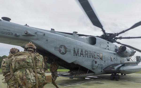 5th Air Naval Gunfire Liaison Company Marines conduct close air support