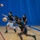 Champion Brigade at Dodgeball Competition for KATUSA Friendship Week