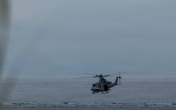 5th Air Naval Gunfire Liaison Company Marines conduct close air support