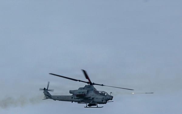 5th Air Naval Gunfire Liaison Company Marines conduct close air support