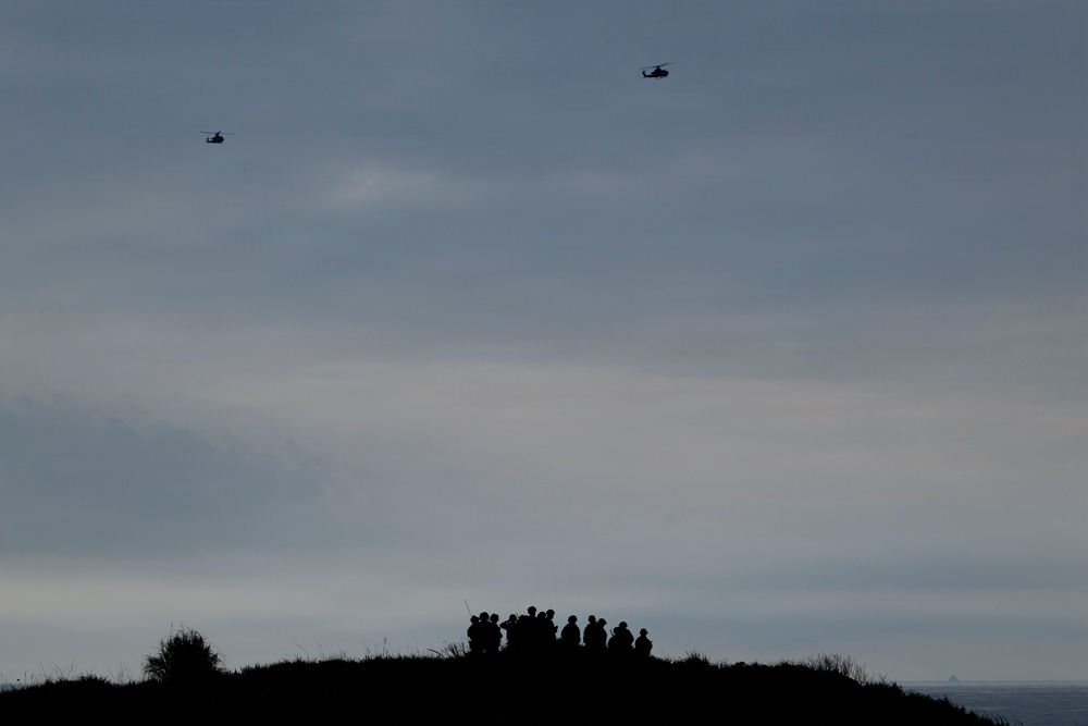 5th Air Naval Gunfire Liaison Company Marines conduct close air support
