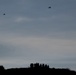 5th Air Naval Gunfire Liaison Company Marines conduct close air support