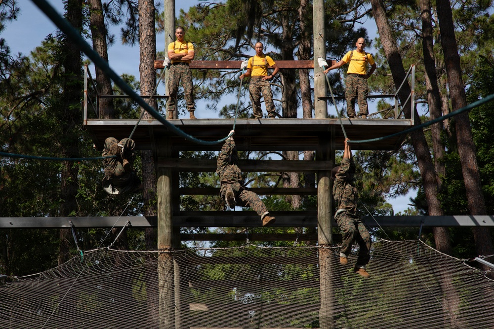 Fox Company Confidence Course