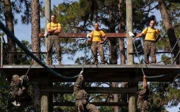 Fox Company Confidence Course