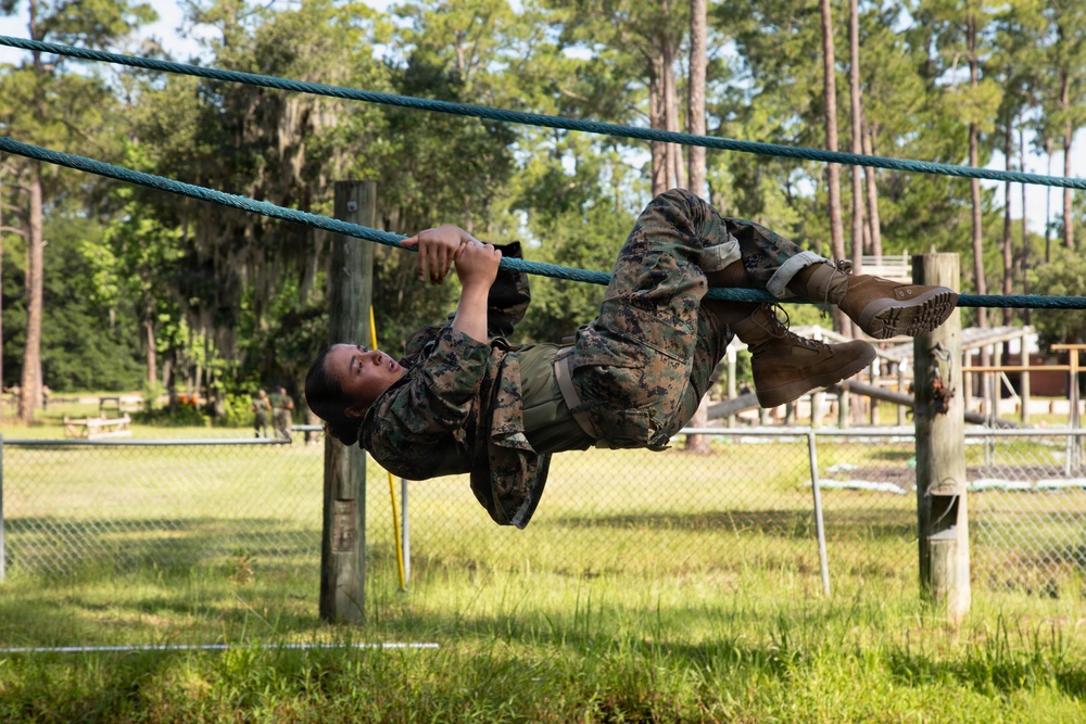 Fox Company Confidence Course