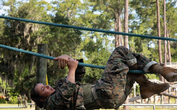 Fox Company Confidence Course