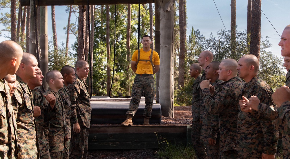 Fox Company Confidence Course