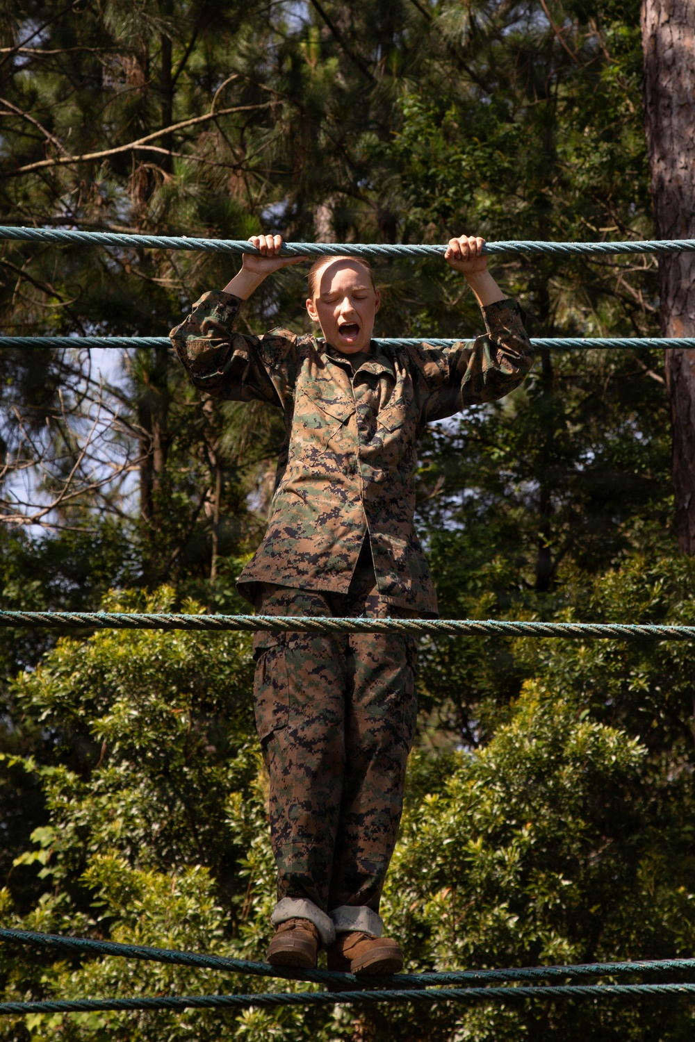 Fox Company Confidence Course