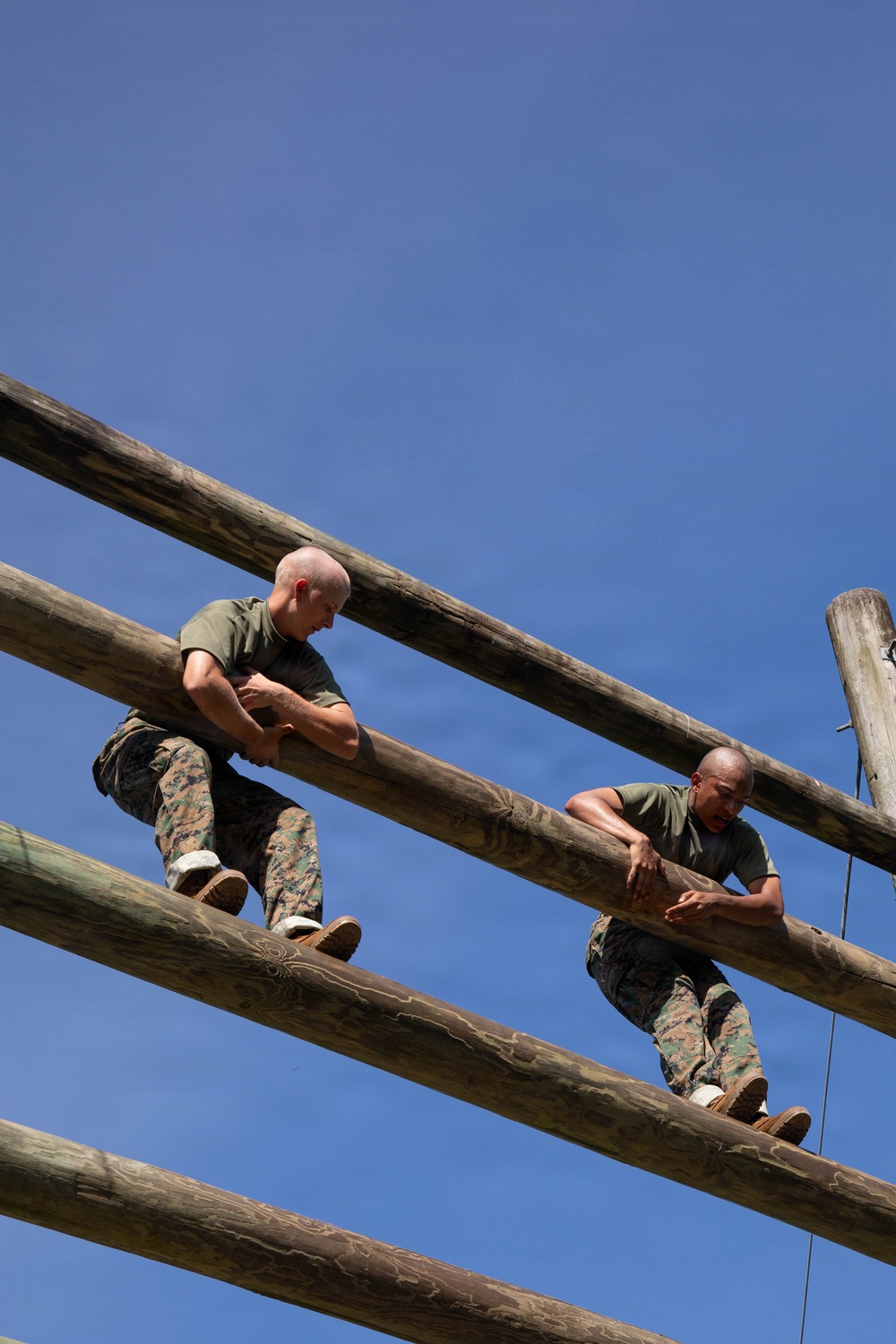 Fox Company Confidence Course