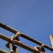 Fox Company Confidence Course