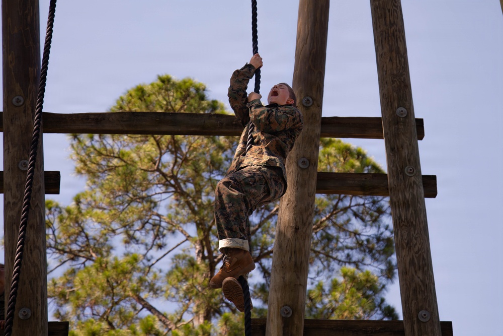 Fox Company Confidence Course