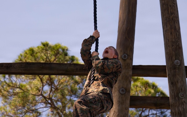 Fox Company Confidence Course