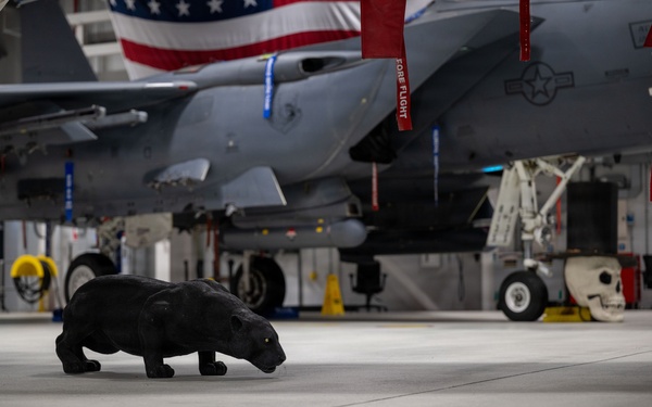 RAF Lakenheath activates the 748 AMXS