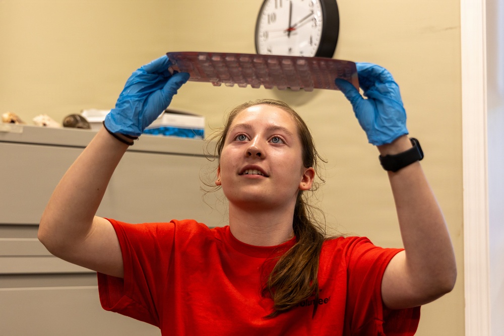 USACE Mobile District conducts E. Coli water quality testing at Carters Lake